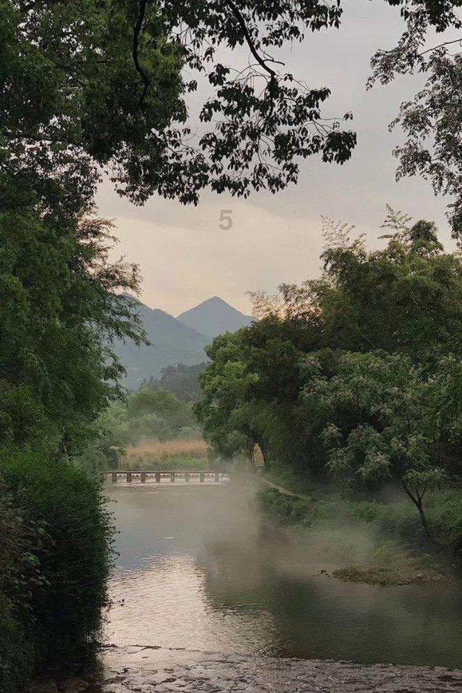 小狗救援行动选关版